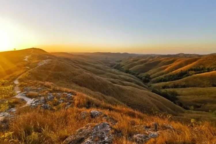 Bukit Wairinding di Sumba Timur, Dua Musim Berganti Seakan Berada di Dua Negara