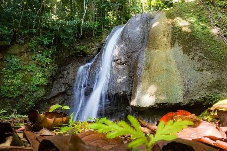 Nature Odyssey: The Enchanting Beauty of Bunga Kokota Waterfall