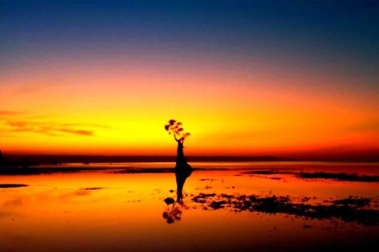 Pesona Alam Sumba Timur: Hipnotis Sunset Pantai Walakiri