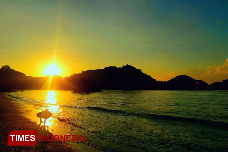 3 Hari di Teluk Asmara, Day-2: Panen Kerang Kipas