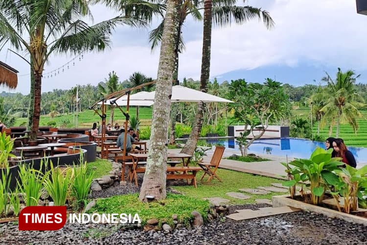 Surga Tersembunyi di Banyuwangi, Ngopi dengan Pemandangan Sawah Bertingkat ala Ubud