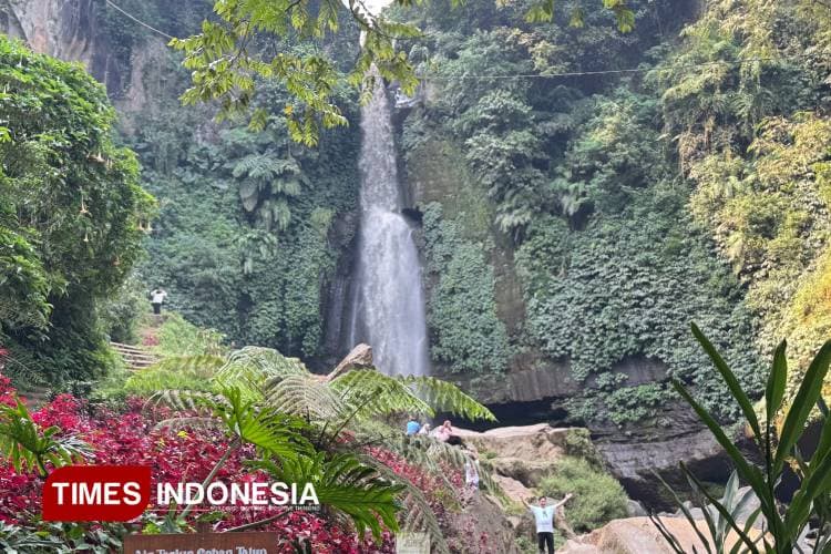 Coban Talun, Harmoni Alam di Tengah Hutan Pinus