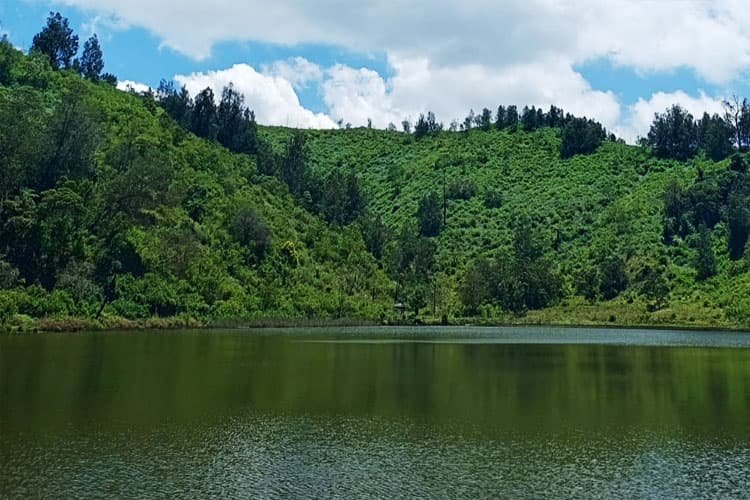 Ranu Regulo, Permata Tersembunyi di Kaki Gunung Semeru