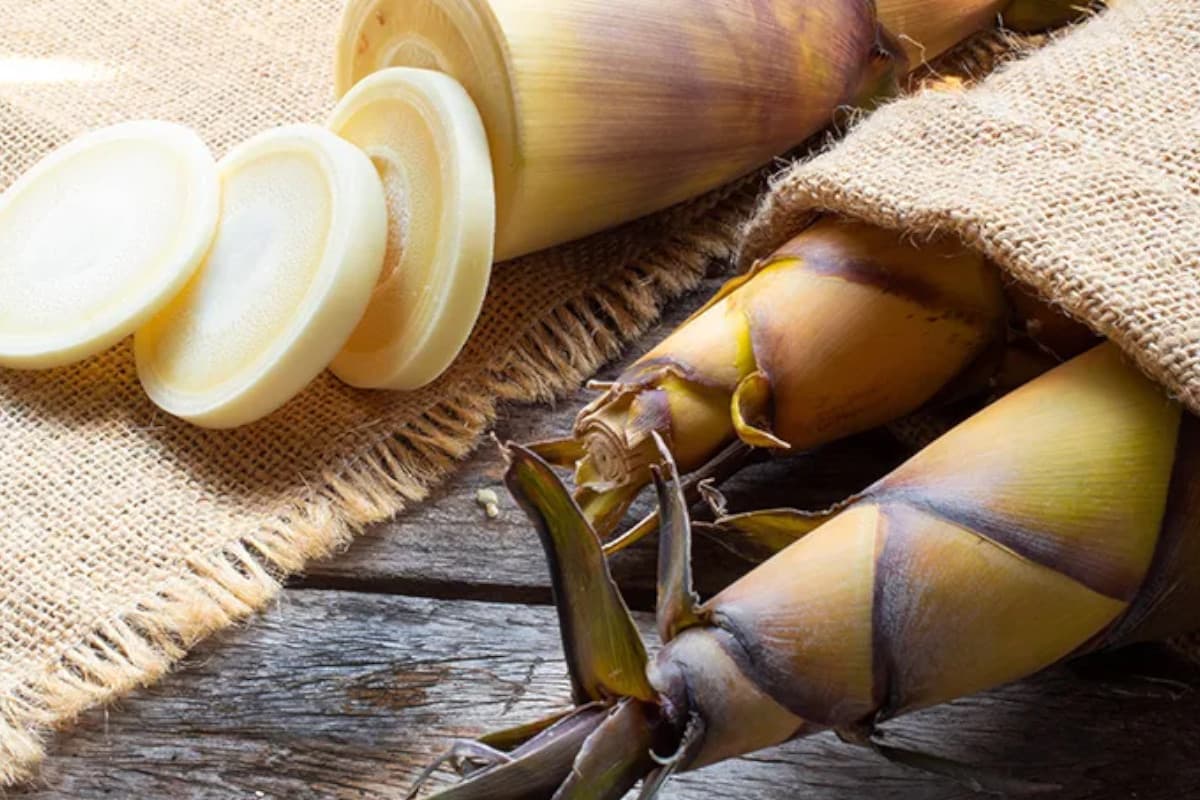 Ilmuwan Inggris Ajukan Rebung sebagai Superfood