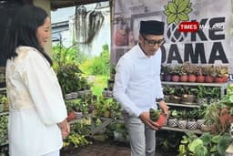 Menembus Negeri Sakura, UMKM Kota Batu Ini Tak Lagi Sekadar Tanaman Hias