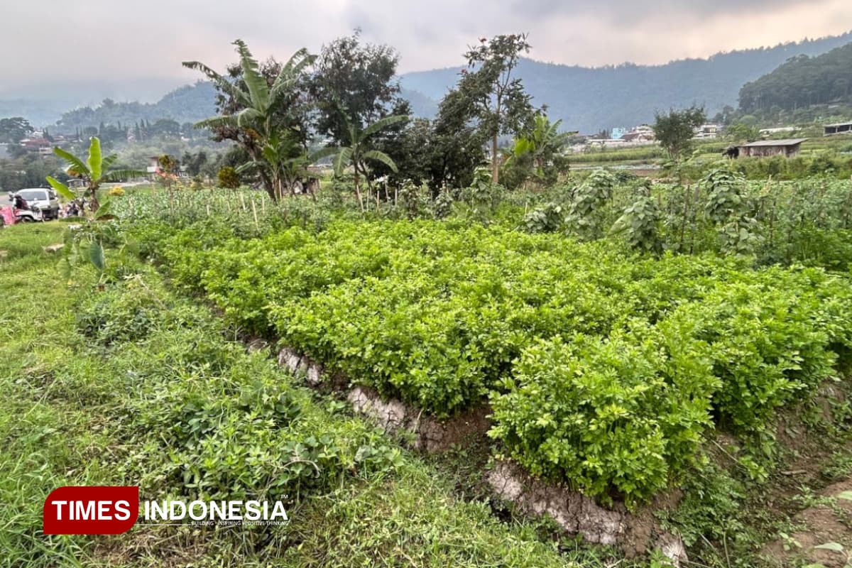 Pemkot Batu Siapkan Lahan 3 Hektare untuk Smart Integrated Farming